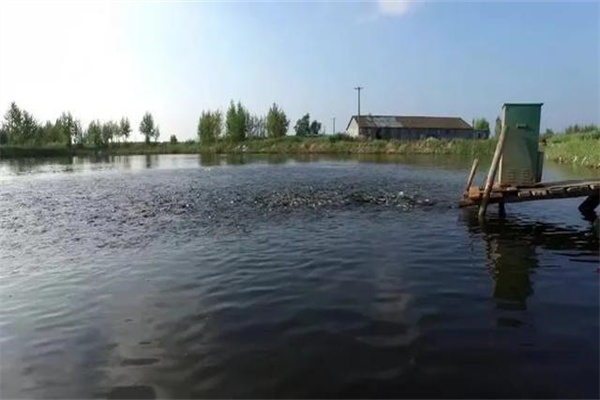 魚池面積、水深和底質(zhì)