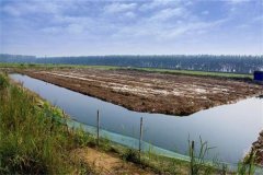 澳洲龍蝦養(yǎng)殖條件有哪些，養(yǎng)殖周期是多久？