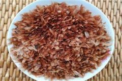 香椿種子多少錢一斤，什么時(shí)候種怎么種植？