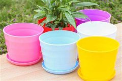 常見花盆的種類和特點、材質(zhì)款式用途