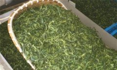 炒青綠茶加工分哪幾道工序、具體方法是什么？