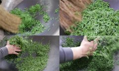毛尖茶手工制作的具體步驟和方法是什么？