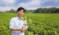 新型農(nóng)民是指什么農(nóng)民，其具備哪三個特征