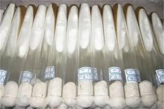 什么是食用菌膠囊菌種，接種操作要點有哪些？