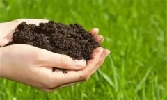 生物有機(jī)肥的功效與作用有哪些？