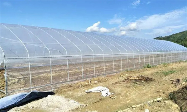 棚膜有哪些種類(lèi)