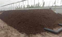 養(yǎng)雞場糞便、死雞及其他廢棄物的處理方法