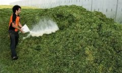 如何制作青貯飼料?