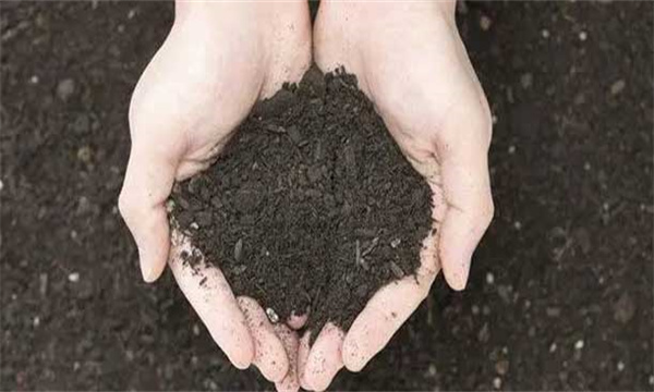 以有機(jī)肥為主，無(wú)機(jī)肥為輔