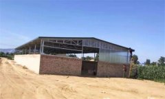 肉羊養(yǎng)殖場如何選址，養(yǎng)殖場功能區(qū)如何劃分？