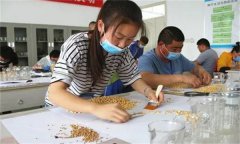 農(nóng)作物的種子質(zhì)量檢驗(yàn)包括哪些內(nèi)容？