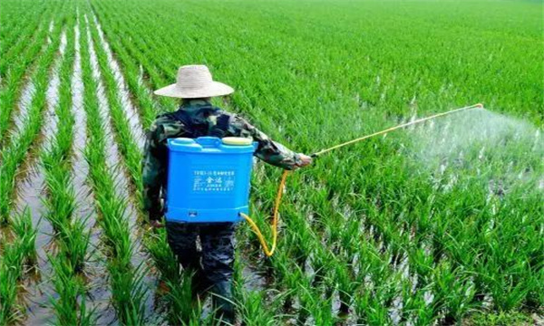 農(nóng)藥使用的時(shí)間問題