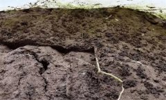 土壤的團(tuán)粒結(jié)構(gòu)對(duì)土壤肥力有哪些作用？