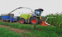 玉米青貯機械作業(yè)安全技術(shù)要求有哪些？