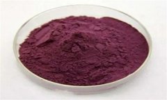 花青素是什么？花青素有抗氧化的功效嗎？