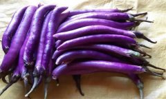 常見蔬菜有哪些選購(gòu)技巧？