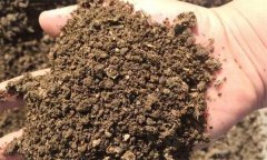 什么是土壤質(zhì)地 按土壤質(zhì)地土壤分為幾種類型？