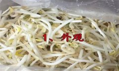 如何挑選豆芽？有根豆芽與無根豆芽有什么區(qū)別