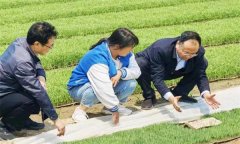 如何處理擱田與治蟲的關(guān)系，怎樣保護(hù)稻田蜘蛛