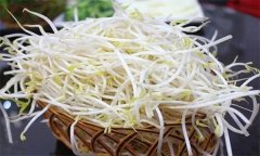 食用市場上出售的豆芽菜是否安全？