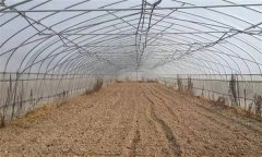 棚室土壤污染物的來源和消除途徑有哪些？