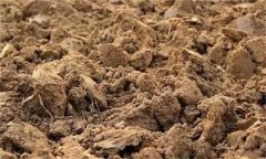 土壤肥力失衡、土壤質(zhì)量下降、土壤酸化怎么辦