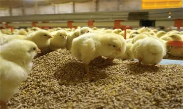 溫、濕度管理