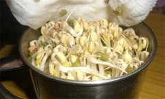 生產(chǎn)綠豆芽苗菜如何進(jìn)行沖淋水？