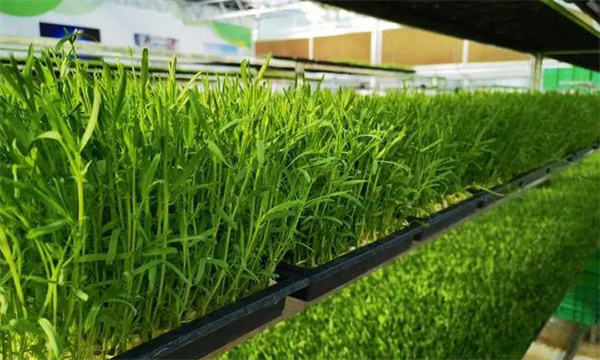 嚴格把好水質(zhì)關