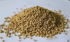 雞飼料中可以添加膽堿嗎？